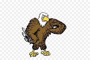 Clip art Bald eagle Image Portable Network Graphics - eagle 
