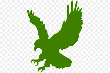 Clip art Bald eagle Silhouette Image - seagul insignia 