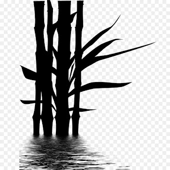 Clip art Bamboo Illustration Portable Network Graphics Drawing -  
