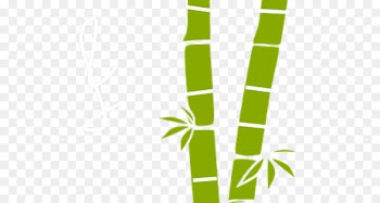 Clip art Bamboo Portable Network Graphics Image Free content - dying border 