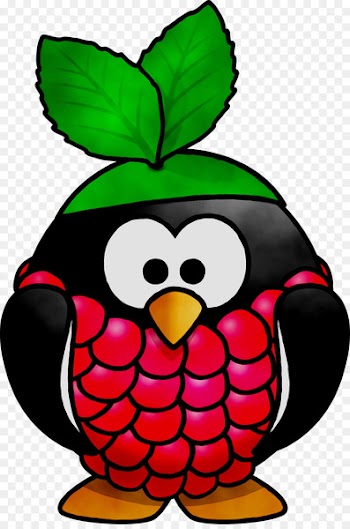 Clip art Beak Fruit Raspberry Pi -  