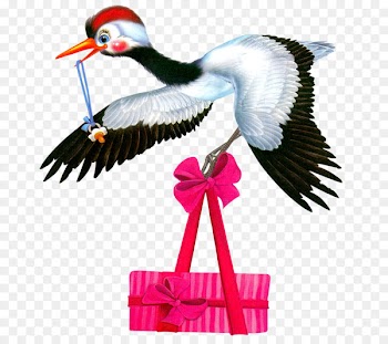 Clip art Birthday Portable Network Graphics Image Daytime - birthday 