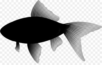 Clip art Bluefish Portable Network Graphics Image -  