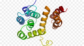 Clip art Body Jewellery - aavp7 a1 