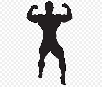 Clip art Bodybuilding Computer Icons Portable Network Graphics Exercise - bodybuilding 