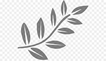 Clip art Branch Drawing Portable Network Graphics Tree -  
