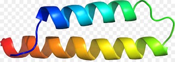 Clip art Brand Logo Product design - a1a 