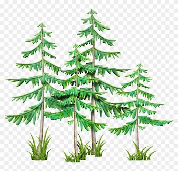 Clip Art, Camping Stuff, Branches, Pine, Mountain, - Christmas Tree