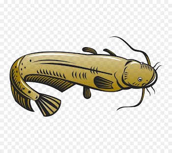 Clip art Catfish Vector graphics Illustration Image - fish tattoo 