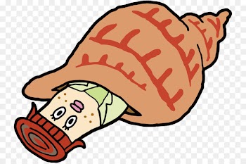 Clip art Charonia tritonis Hat Free content Image - hat 