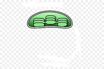Clip art Chloroplast Image Vector graphics Portable Network Graphics - holi pichkari 