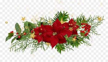 Clip Art Christmas, Christmas Crafts, Poinsettia, Flower, Plant PNG