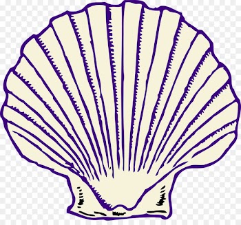 Clip art Clam Seashell Vector graphics Oyster - seashell 
