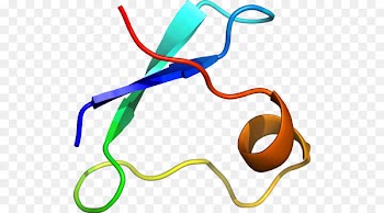 Clip art Clothing Accessories Product design Line - iizaka 