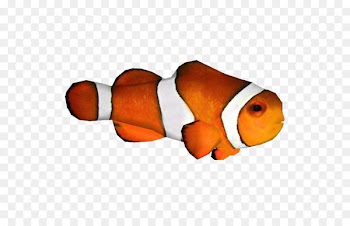 Clip art Clownfish Image Portable Network Graphics - afro background 