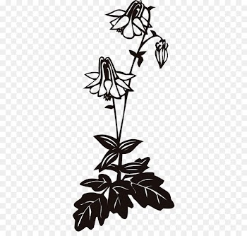 Clip art Columbine Stock photography Illustration Image -  