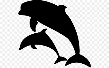 Clip art Common bottlenose dolphin Image Illustration -  