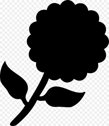 Clip art Common daisy Flower Image Vector graphics -  