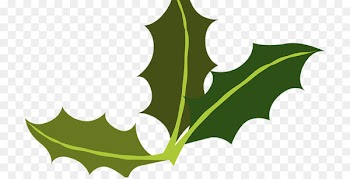 Clip art Common holly Yaupon holly Image Free content - por ornament 