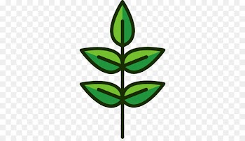 Clip art Computer Icons Portable Network Graphics Scalable Vector Graphics - botanic icon 