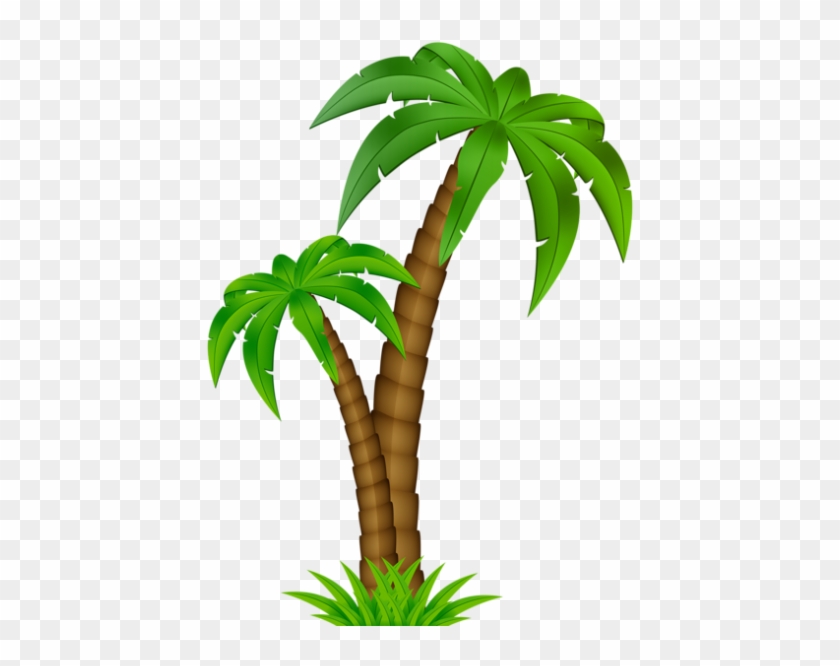 Clip Art Coqueiro Moana Png - Clip Art Coqueiro Moana Png
