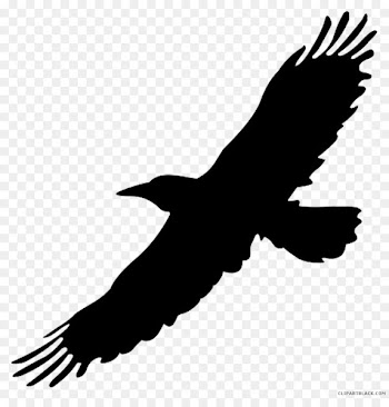 Clip art Crow Bird Image Portable Network Graphics - crow 