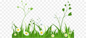 Clip art - Daisies with Grass PNG Clipart Picture 
