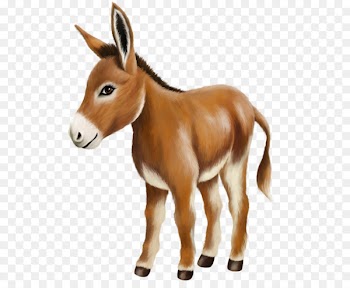 Clip art - donkey 