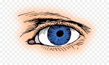 Clip art Eye color Iris Human eye - eye 