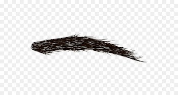 Clip art Eyelash Eyebrow Portable Network Graphics - eye 