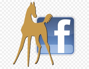 Clip art Facebook Portable Network Graphics Logo Computer Icons - facebook 