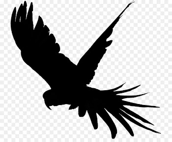 Clip art Fauna Silhouette Beak Feather -  