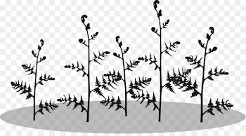 Clip art Fern Silhouette Portable Network Graphics Image - silhouette 