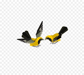 Clip art Finches Flight Bird Vector graphics - aves pennant 