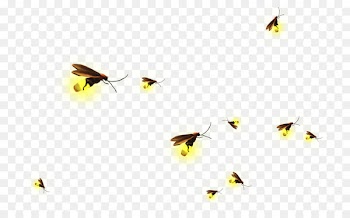 Clip art - Firefly background material 