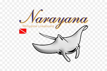 Clip art Fish Logo Cartoon Brand - coron palawan philippines 