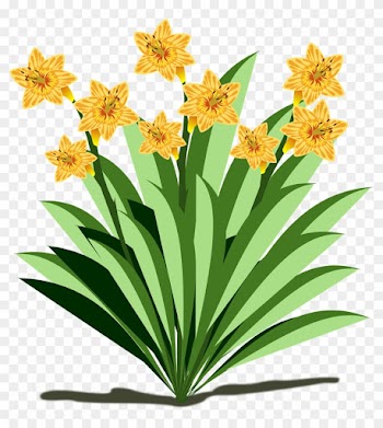 Clip Art Flor Flora Flower Nature Plant Cl - Fun Facts About Plants