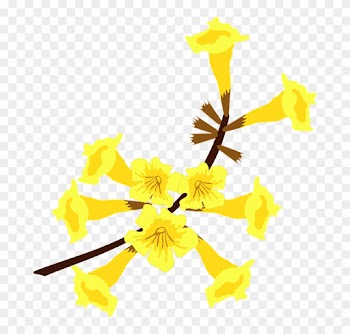 Clip Art, Flor, Flora, Flower, Nature, Plant, Tree - Ipe Png