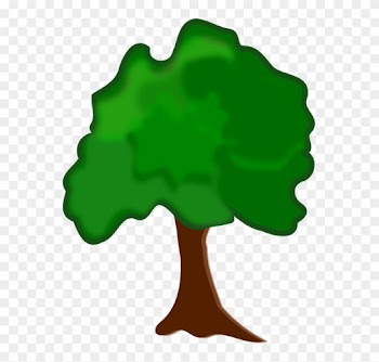Clip Art Flora Nature Plant Tree - Arvore Clipart
