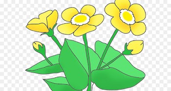 Clip art Floral design Illustration Image - default pennant 