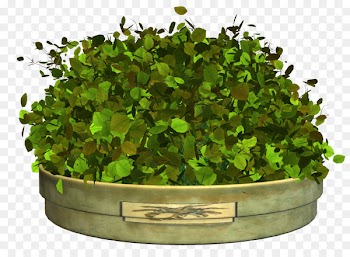 Clip art - flower bed 