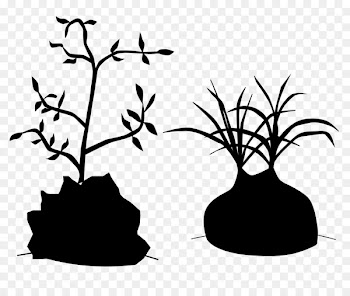 Clip art Flower Plant stem Leaf Silhouette -  