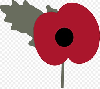 clip art flower poppy plant poppy family