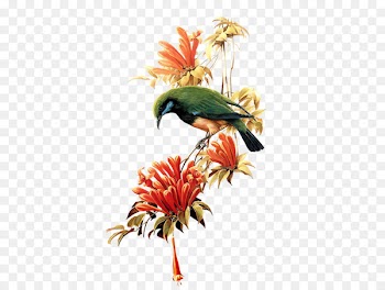 Clip art Flower Portable Network Graphics Painting Image - flower 