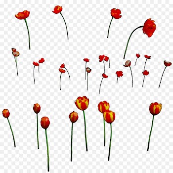 Clip art Flowering plant Plant stem Plants -  