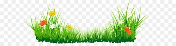 Clip art - Flowers with Grass PNG Picture 