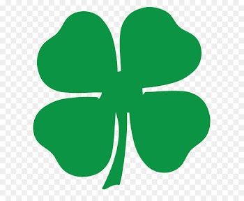 Clip art Four-leaf clover stock.xchng Image Vector graphics - clover 