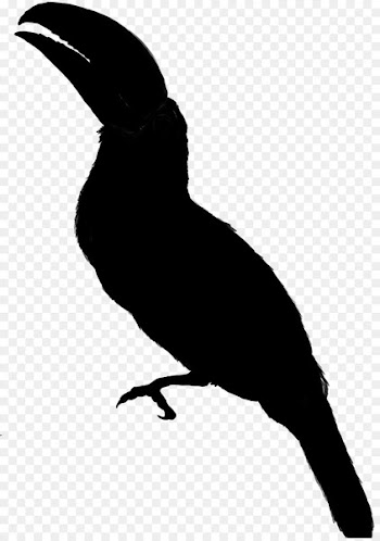 Clip art Free content Image Silhouette Bird -  
