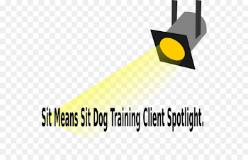 Clip art Free content Openclipart Portable Network Graphics Image - bird mirror reflection 