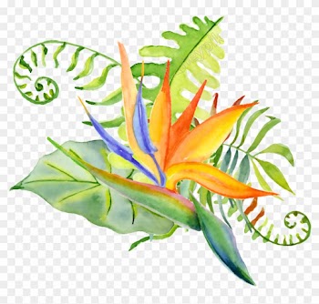 Clip Art Free Library Hand Painted Ornamental Plant - Bouquet Leafe